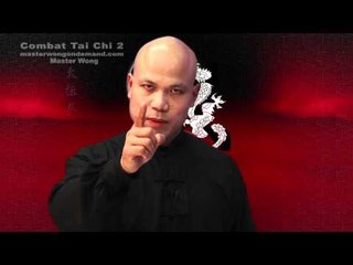 Download Video: Tai chi combat tai chi chuan fight style use chen tai chi – lesson 15