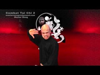 Tải video: Tai chi combat tai chi chuan fight style use chen tai chi – lesson 21