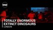 Totally Enormous Extinct Dinosaurs 35 min Boiler Room DJ Set