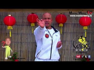 wing chun basics - How to do palm strike, Lesson 5