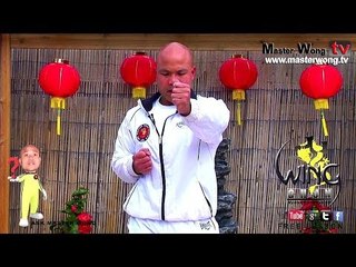 wing chun basics - How to do basic punches, Lesson 2