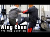 Wing Chun training - wing chun how effective is the triple kick? Q15