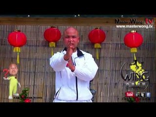 wing chun basics - How to do a triple punch, Lesson 4