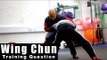 Wing Chun training - wing chun how to deal with mma take down.Q26