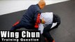 Wing Chun training - wing chun chi sao mma take down Q38