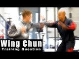 Wing Chun Training - wing chun how to deal with a jab cross. Q7