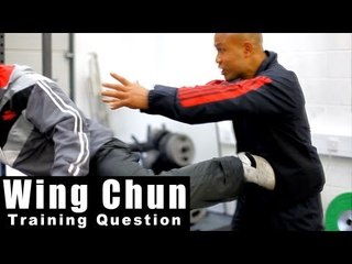 Wing Chun training - wing chun how to deal with turn kick Q9
