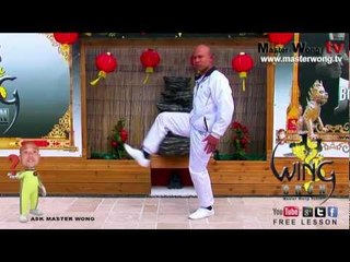 wing chun basics - How to do the basic kicks, lesson 8