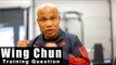 Wing Chun training - wing chun use in mma Q23