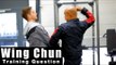 Wing Chun training - wing chun why so many energy drills? Q17