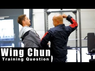Wing Chun training - wing chun why so many energy drills? Q17