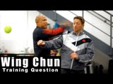 Wing Chun training - wing chun how to attack Q27