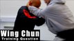 Wing Chun training - wing chun freestyle training Q49