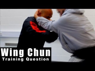 Wing Chun training - wing chun freestyle training Q49