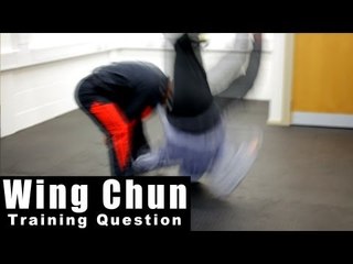Wing Chun training - wing chun how to deal with takedown Q42