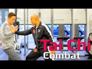 Tai chi combat tai chi chuan - tai chi 2 hand push hand attack. Q29