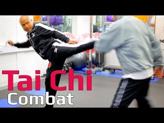 Tai chi combat tai chi chuan - tai chi Push hand attack with side kick. Q24