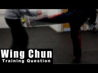 Wing Chun training - wing chun pre-emptive side kick Q75