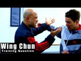 Wing Chun training - wing chun provoking a response Q76