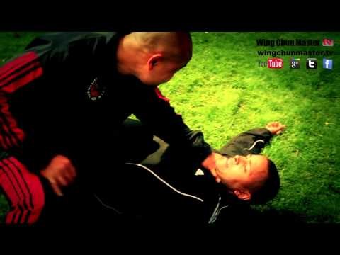 Free Kung Fu session in Ipswich Park - Master Wong