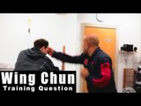 Wing Chun training - wing chun how to destroy the boxer continued Q36 - A