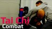 Tai chi combat tai chi chuan - tai chi elbow to the head. Q42