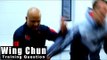 Wing Chun training -wing chun arm broken Q88