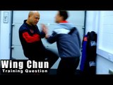 Wing Chun training - wing chun dealing with finger pointing Q84