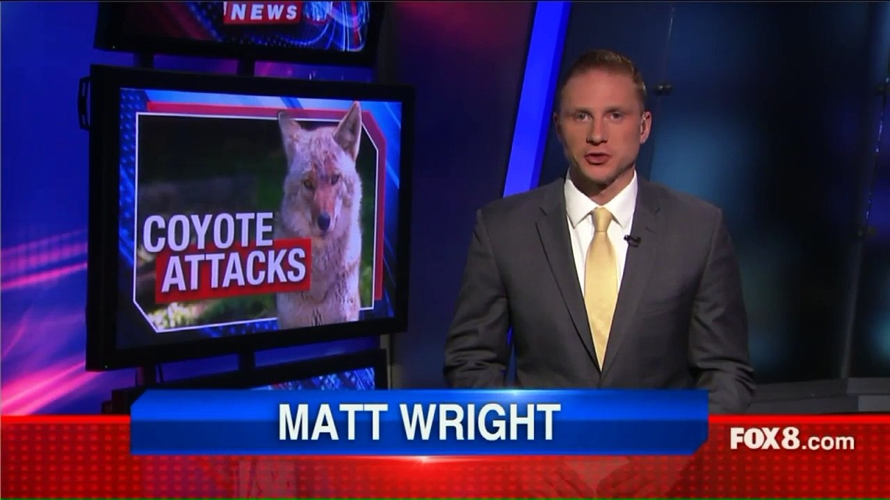 Police Warn Pet Owners After Coyote Attacks in Ohio Community