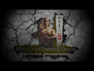 Wing Chun Sli Lim Tao - Know your ability