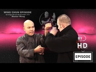 Wing Chun wing chun kung fu Basic Energy Drills - episode 5