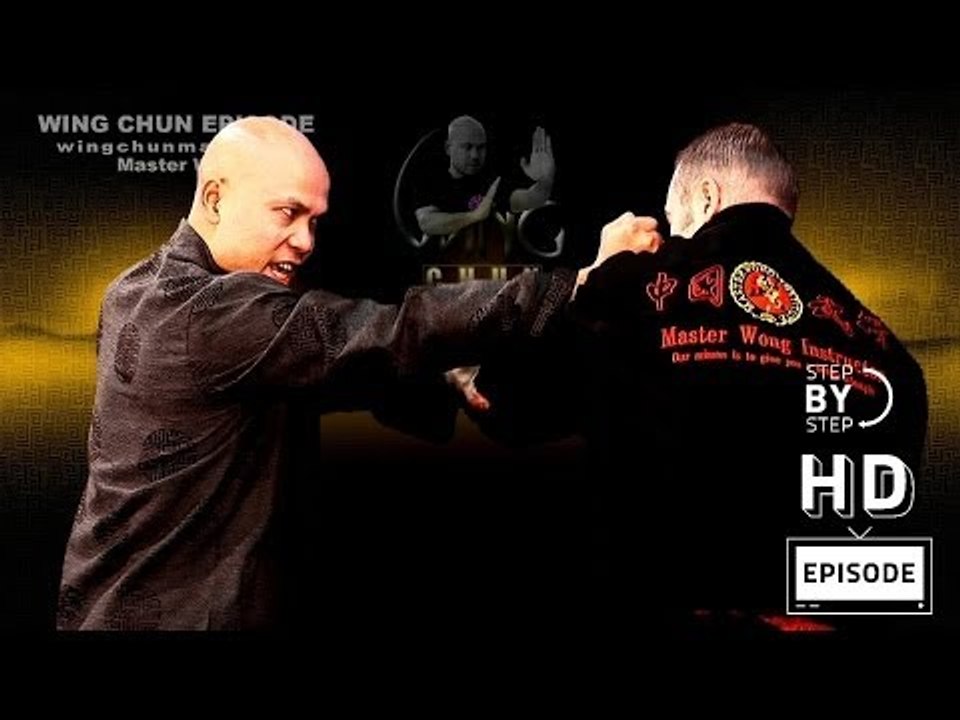Wing Chun wing chun kung fu Basic Hand Work -Episode 2
