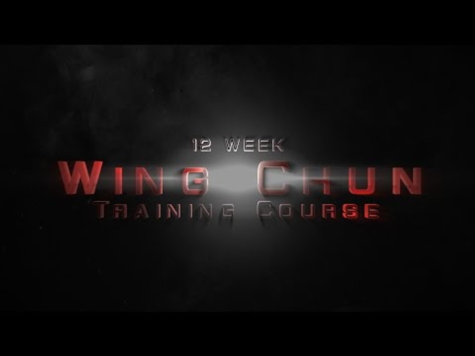 Wing Chun kung fu 12 week wing chun course - with Master Wong