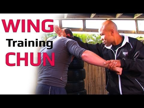 Wing Chun kung fu Training Lesson 1 | Master Wong