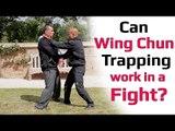 Can wing chun trapping work in a fight?