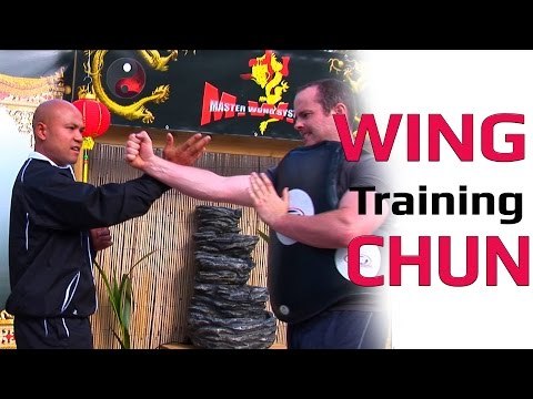 Wing Chun kung fu Training Lesson 2 Master Wong