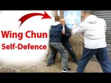 Wing Chun Self defence   Intermediate