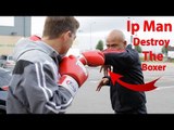 ip Man Destroy the Boxer - Wing Chun