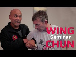 Awesome wing chun seminar part 3