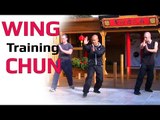 Wing Chun kung fu Training Lesson 4 Master Wong