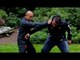 Difference between tai chi and wing chun