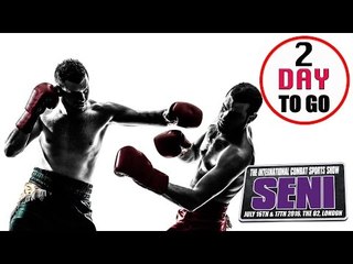 Brawl Sports Boxing -  Knock out blows with Master Wong | Seni 2 day countdown