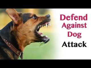 Defend against dog attack - self defence