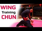 Wing Chun kung fu Training Lesson 7 Master Wong
