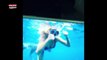 Enora Malagré en bikini sexy nage avec des requins (Vidéo)