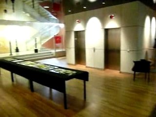 Sculptures Claude Capriolo 2007 Caisse D'Epargne video 4/08