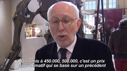 Un squelette de mammouth exposé dans une gare avant d'être vendu