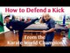 How to Defend a Kick from the Karate World Champion - Wing Chun