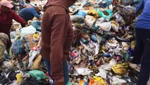 A vida de quem tira o sustento de materiais recicláveis no ES
