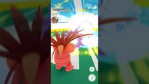 Pokémon GO Gym Battles Level 10 Gym Shiny Gyarados Ampharos Feraligatr Tentacruel Muk & more